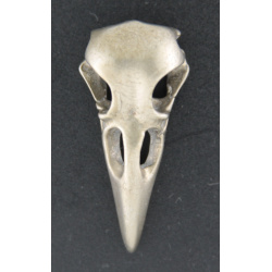 Medium Raven skull pendant